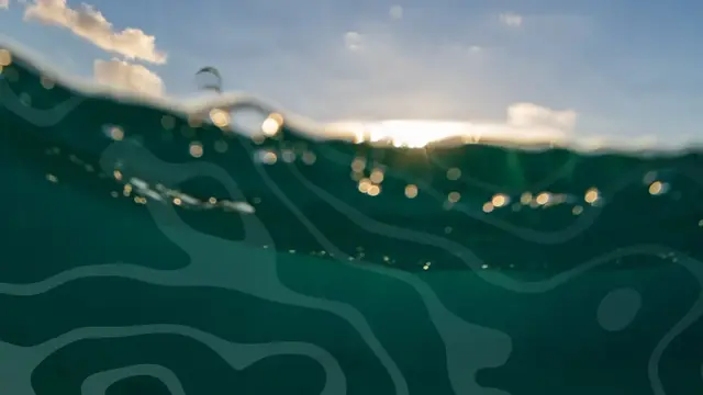 2025 NT ACE Conference