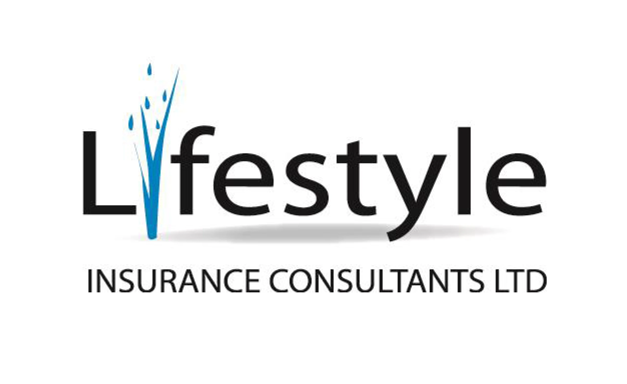 Lifestyle logo