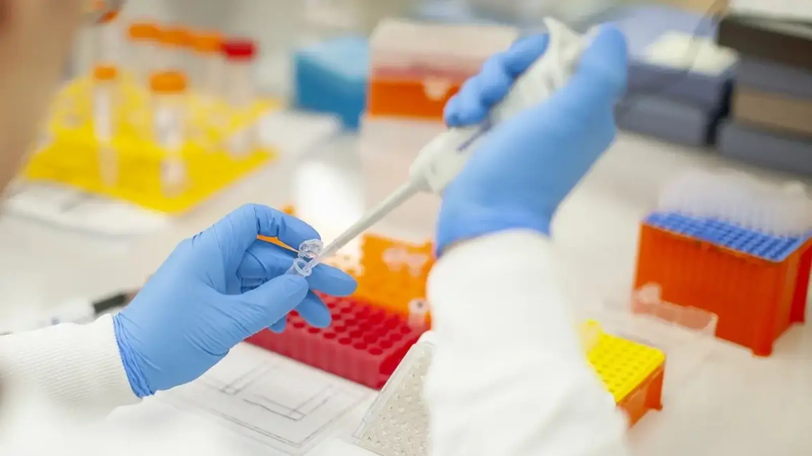 A researcher pipetting in a lab setting