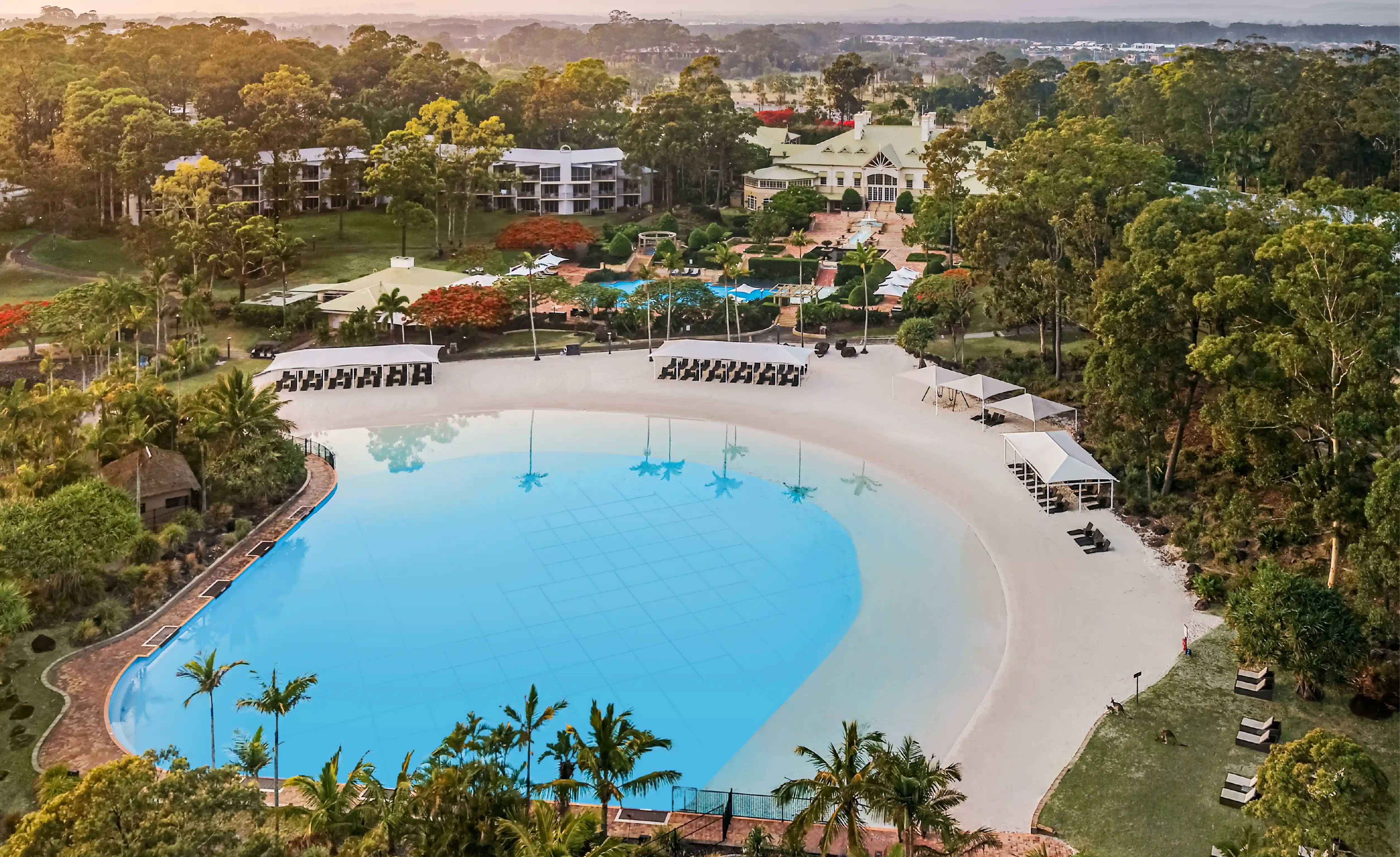 2026 Queensland ACE Annual Conference | ANZCA
