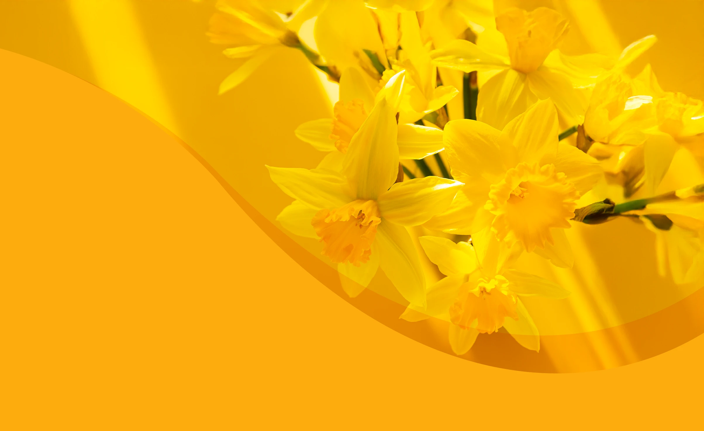 2025 SA ACE Conference "Spring into CPD"