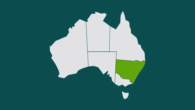 Graphic image of new south wales