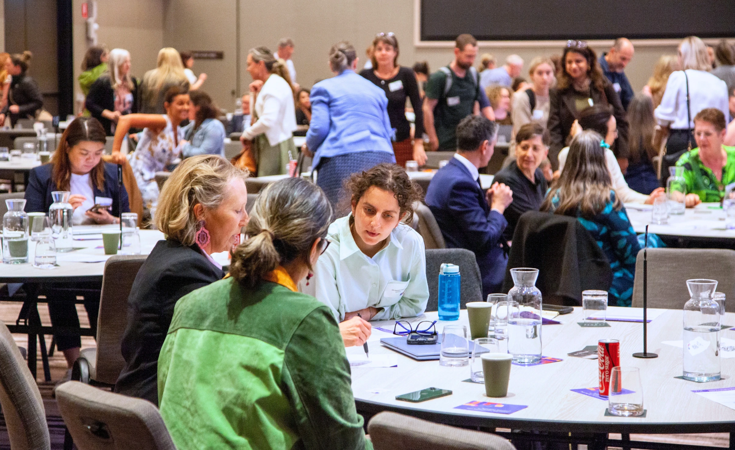Delegates at the National Pain Education Summit