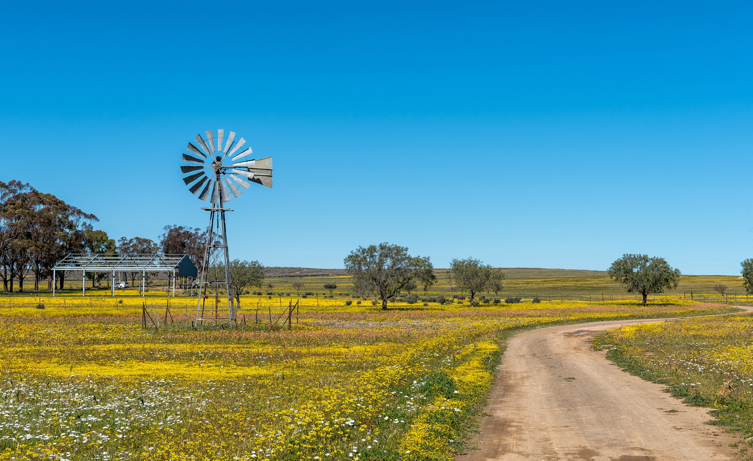 Windmill on a farm road, in a rural setting