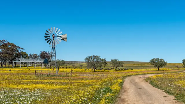 Windmill on a farm road, in a rural setting